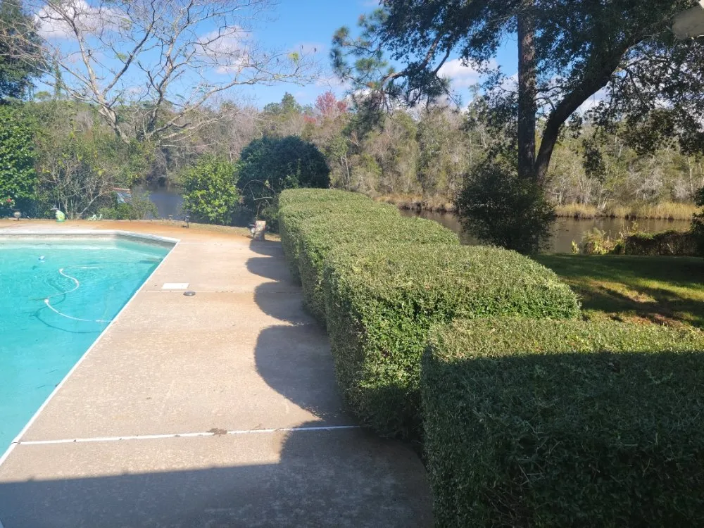 Top-rated landscaping services experts serving Navarre, FL - ZR Lawn Pros