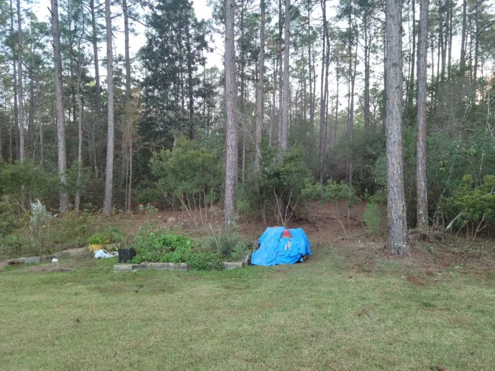 Top-rated yard cleanup service in Navarre, FL - ZR Lawn Pros