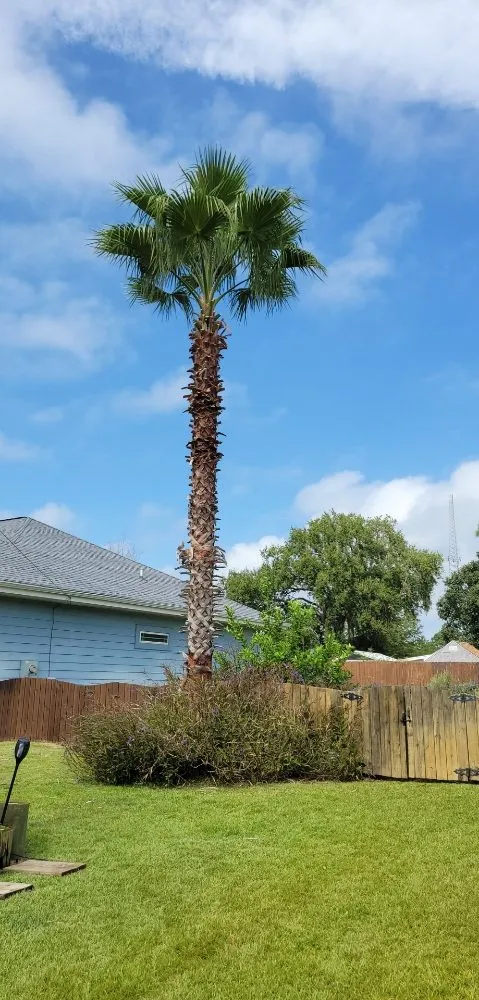 Expert yard maintenance experts serving Navarre, FL - ZR Lawn Pros