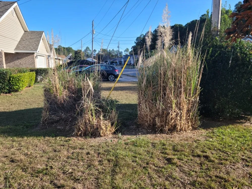 Affordable landscape design in Navarre, FL - ZR Lawn Pros