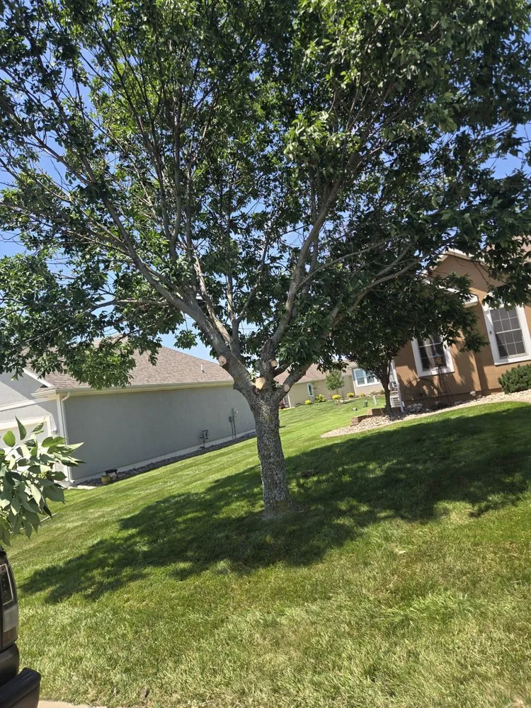 Top-rated landscape installation in Lake Annette, MO - Z&R Lawns