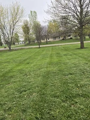 Z&R Lawns