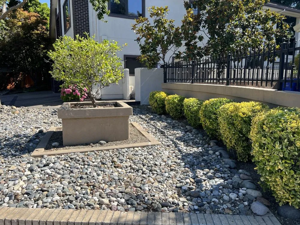 Trusted residential landscaping experts serving Sacramento, CA - ZR Pro Landscaping