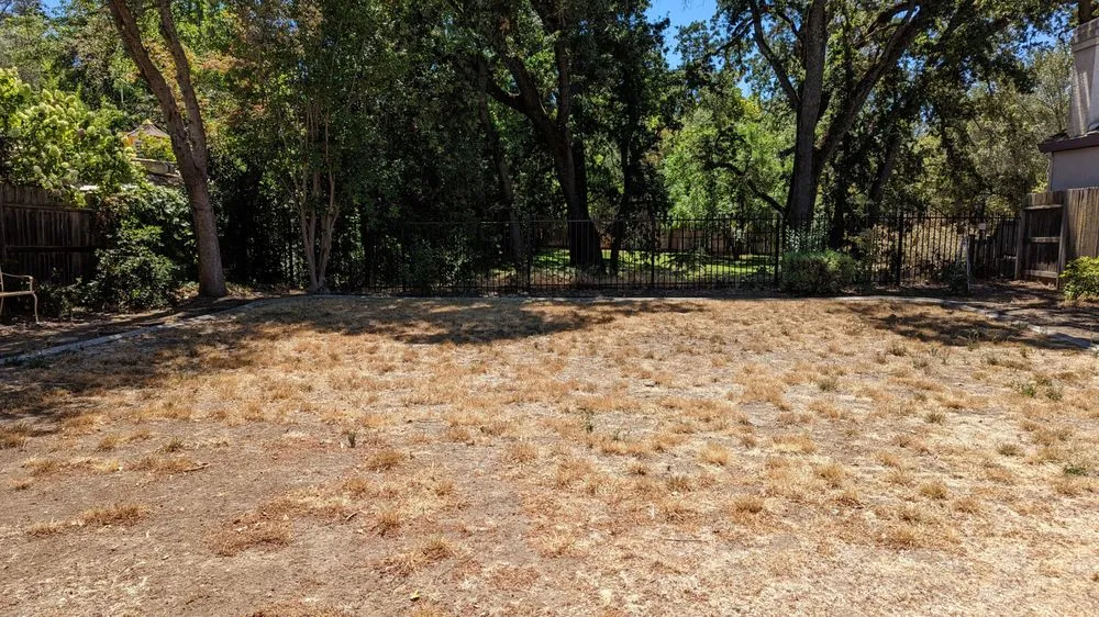 Professional lawn mowing service in Sacramento, CA - ZR Pro Landscaping