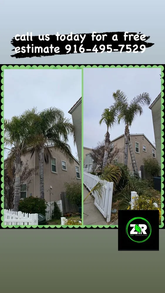 Trusted outdoor landscaping in Sacramento, CA by ZR Pro Landscaping