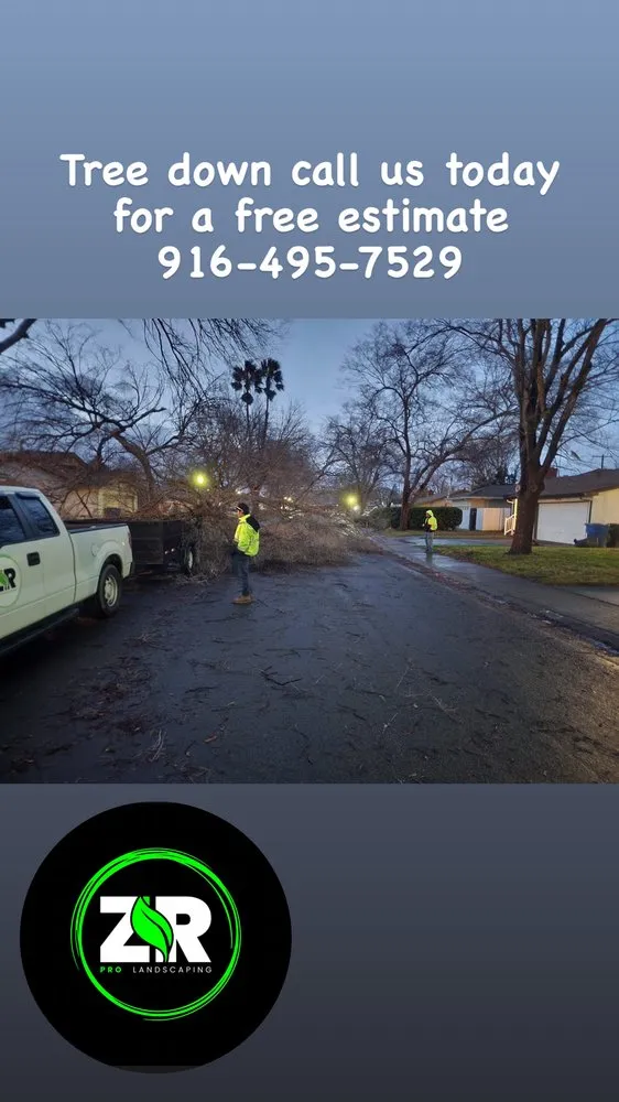 Reliable lawn care service for residential properties across Sacramento, CA - ZR Pro Landscaping