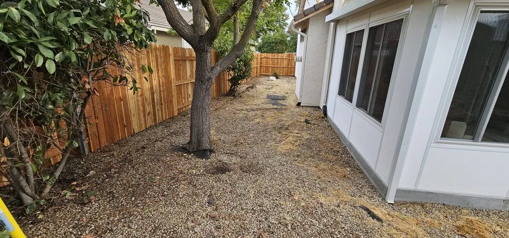 Affordable landscaping services for year-round maintenance in Sacramento, CA by ZR Pro Landscaping