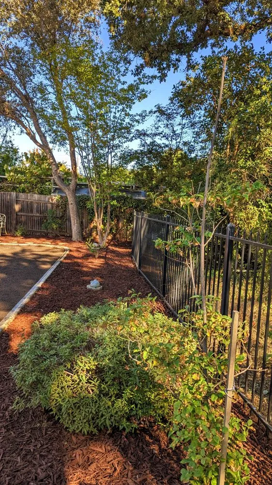 Custom landscape design in Sacramento, CA by ZR Pro Landscaping