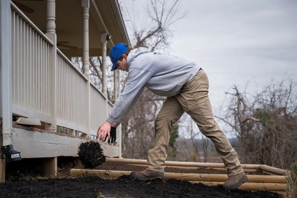 Trusted lawn mowing service experts serving Manassas, VA - Z's Exterior Services