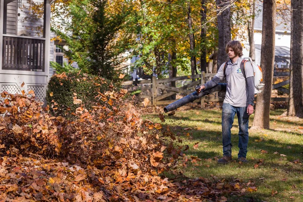 Professional garden landscaping in Manassas, VA - Z's Exterior Services