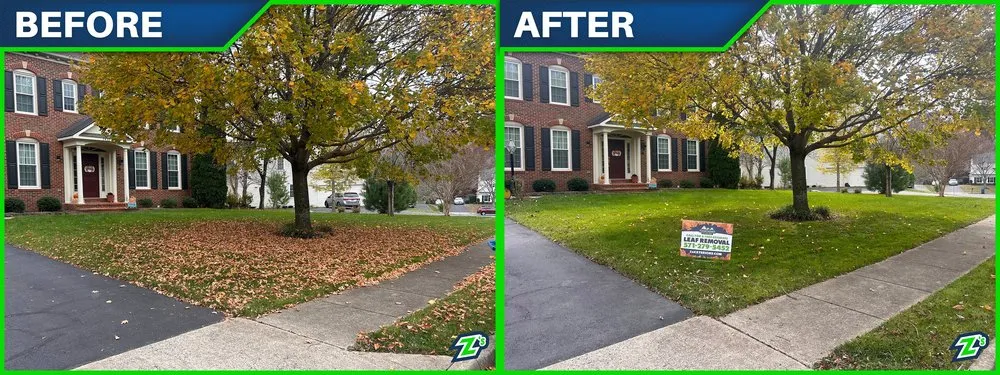 Reliable yard maintenance in Manassas, VA - Z's Exterior Services