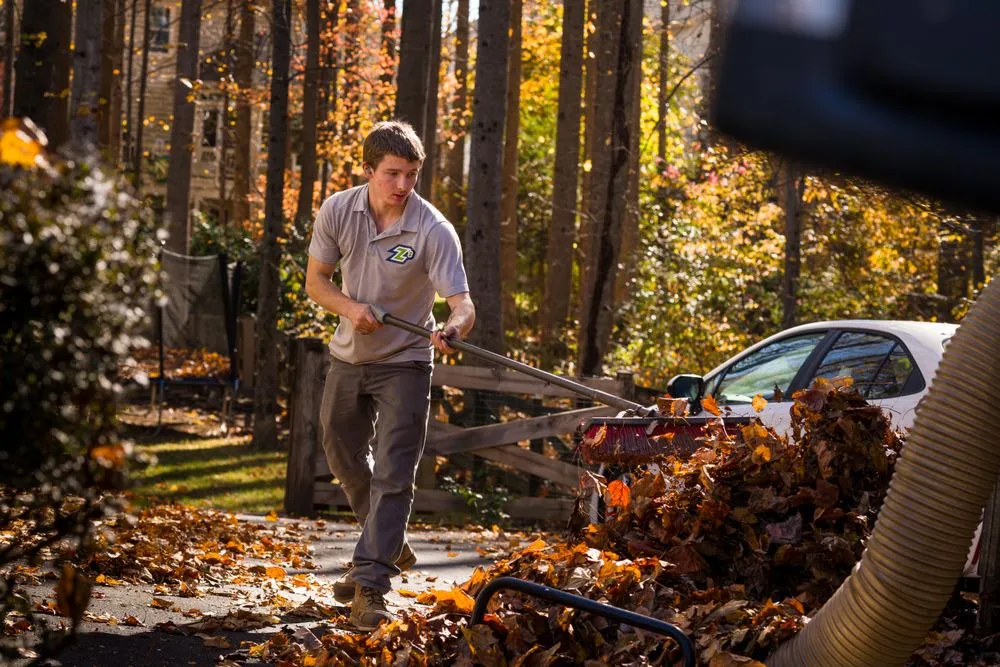 Trusted lawn mowing service with custom design across Manassas, VA - Z's Exterior Services