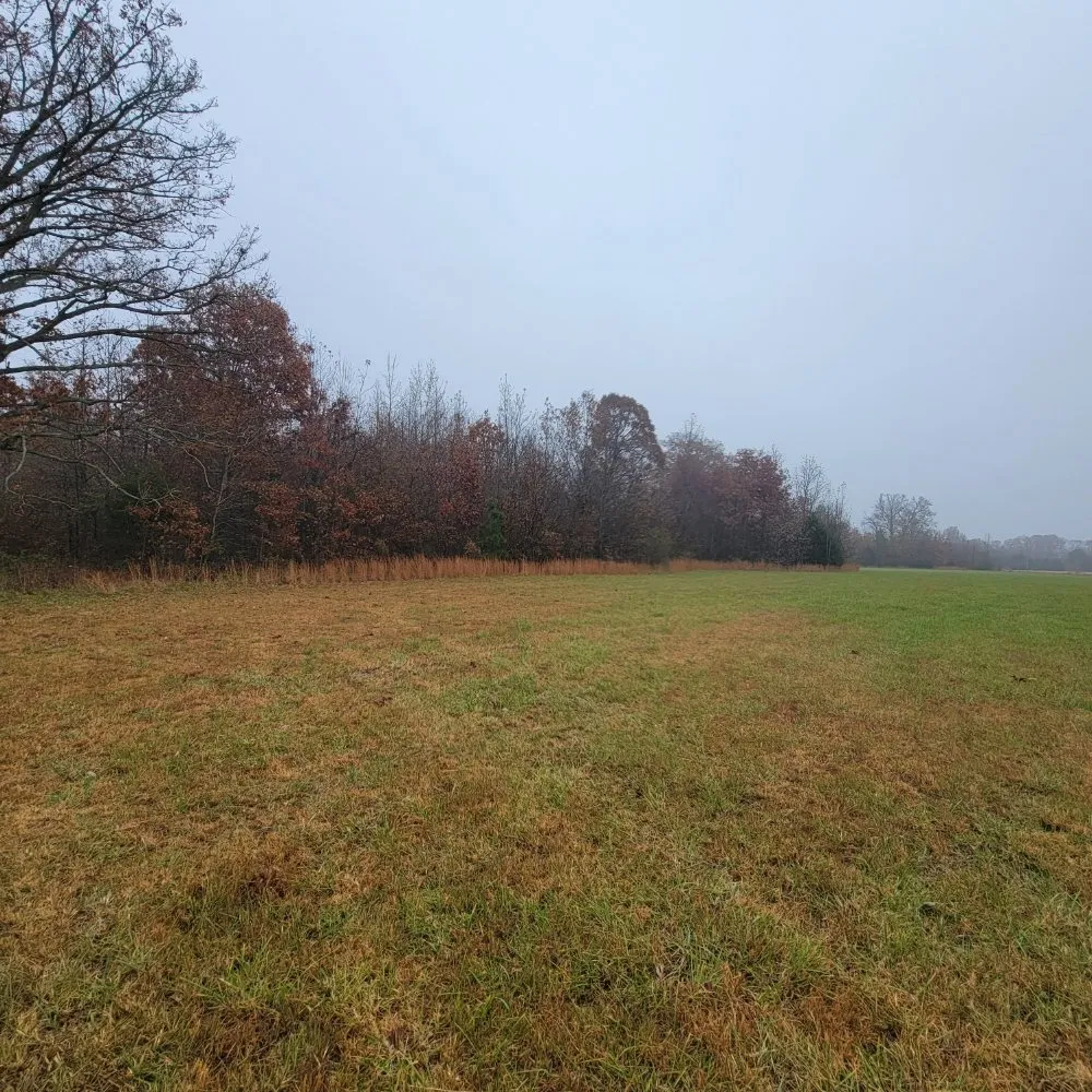 Reliable garden landscaping experts serving Smithville, TN - Z's Land Management & Mulching