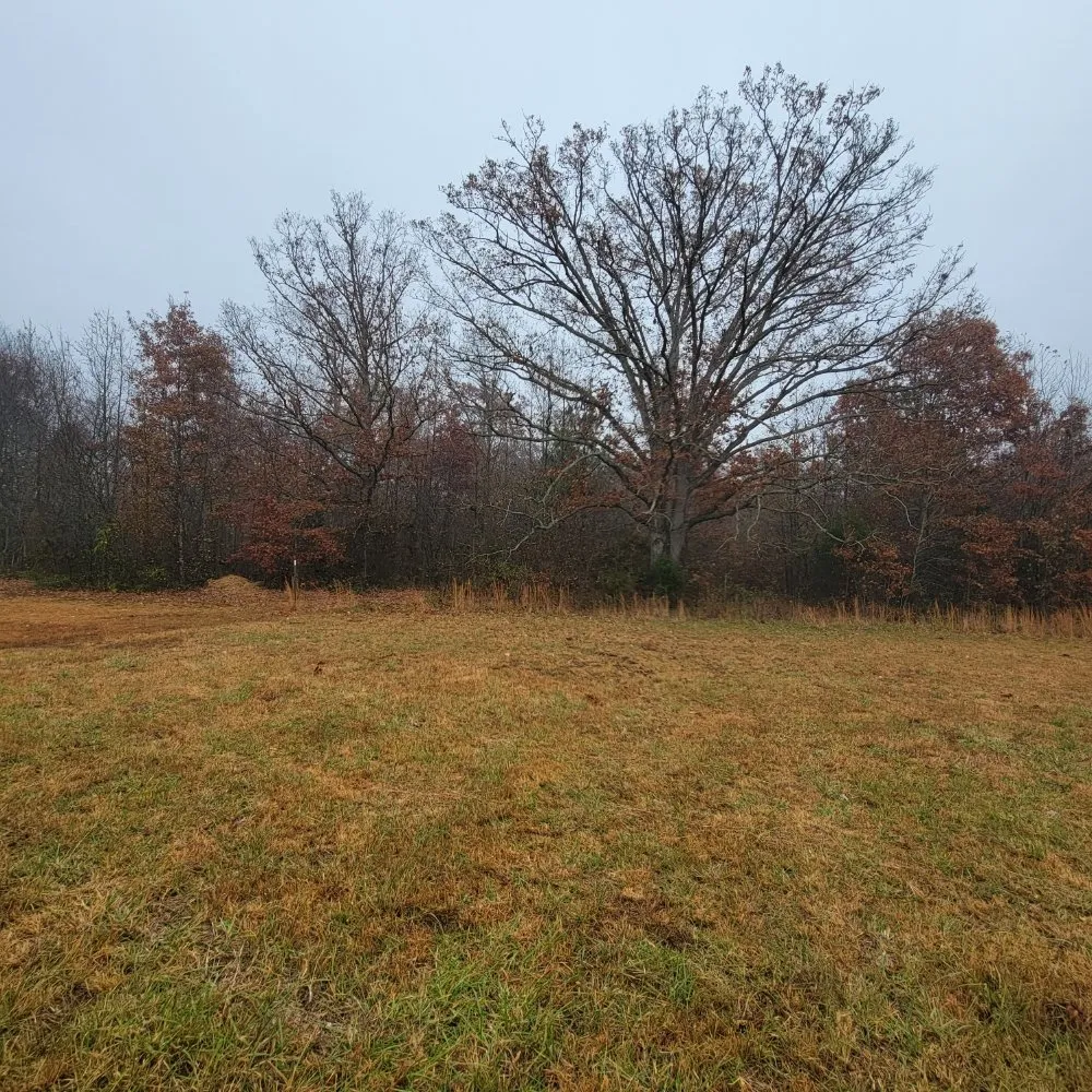 Top-rated residential landscaping experts serving Smithville, TN - Z's Land Management & Mulching