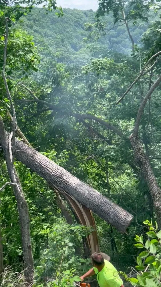 Local lawn mowing service in Smithville, TN by Z's Land Management & Mulching