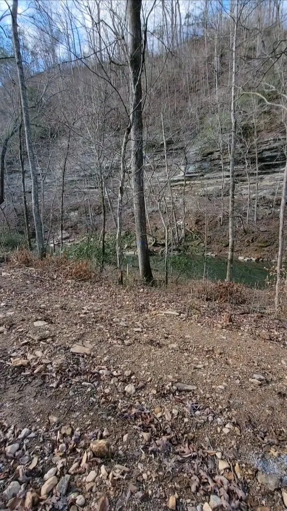 Affordable yard maintenance experts serving Smithville, TN - Z's Land Management & Mulching