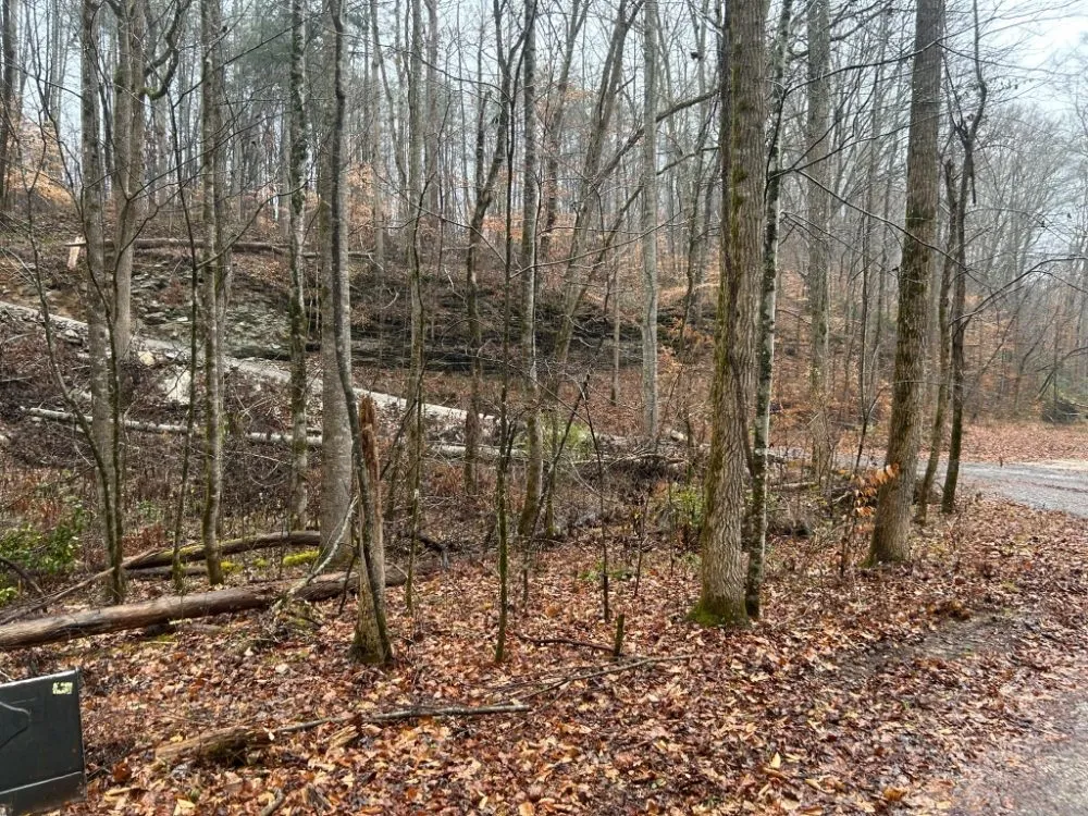 Local landscape installation for year-round maintenance across Smithville, TN - Z's Land Management & Mulching