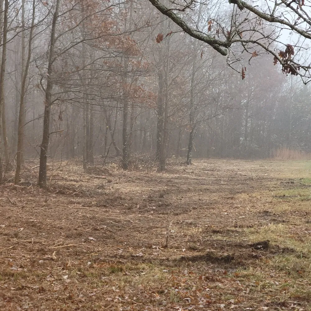 Reliable garden landscaping for beautiful yards in Smithville, TN by Z's Land Management & Mulching