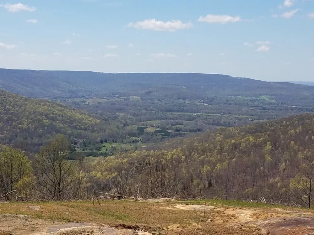 Local landscaping services experts serving Smithville, TN - Z's Land Management & Mulching