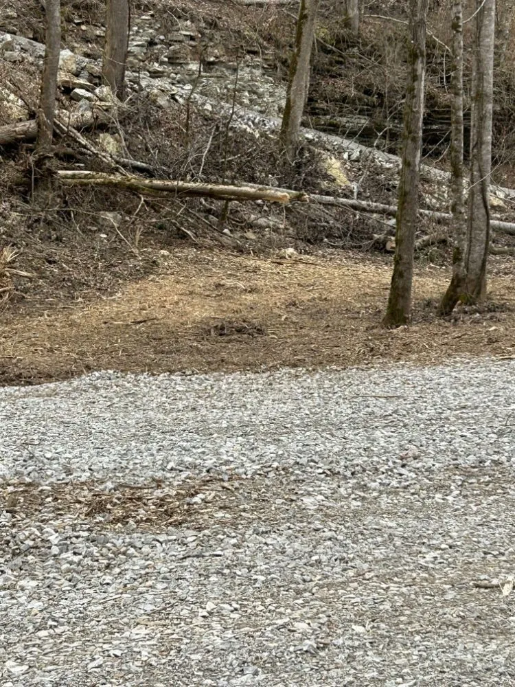 Expert landscape design in Smithville, TN - Z's Land Management & Mulching