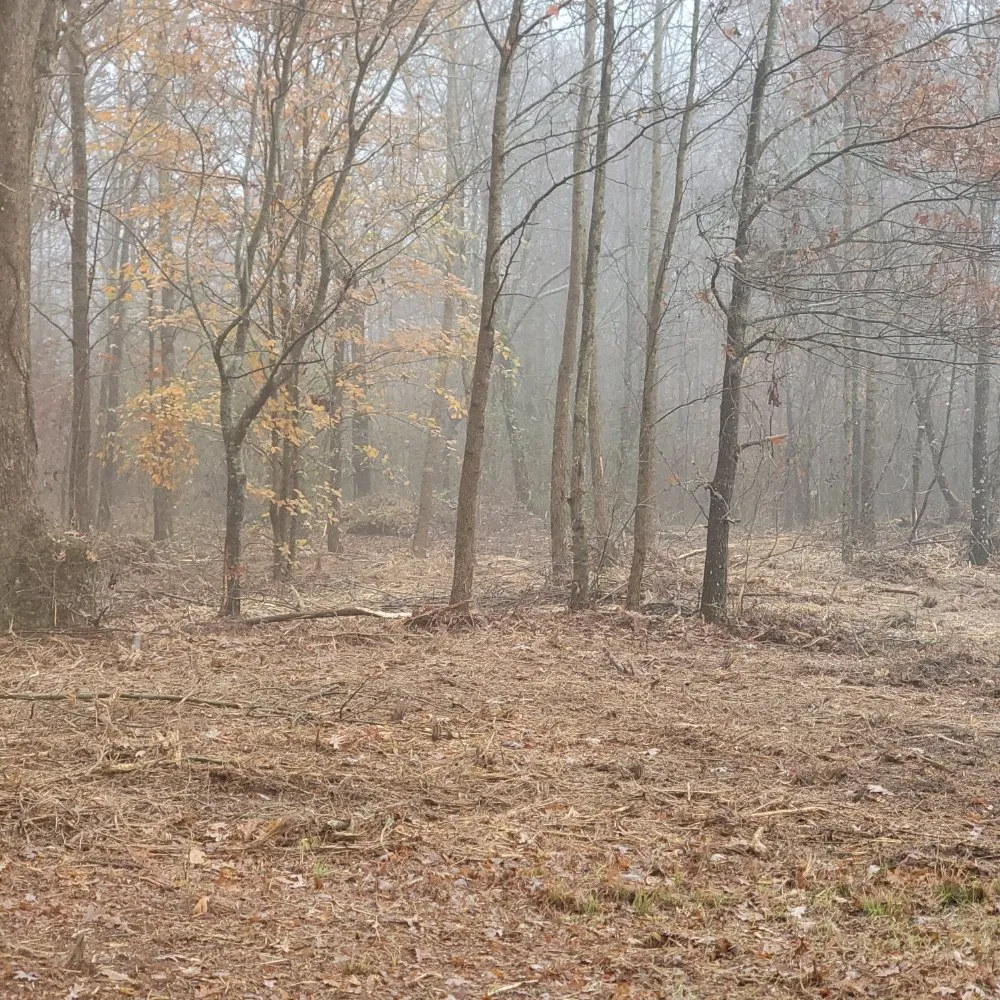 Reliable residential landscaping in Smithville, TN - Z's Land Management & Mulching