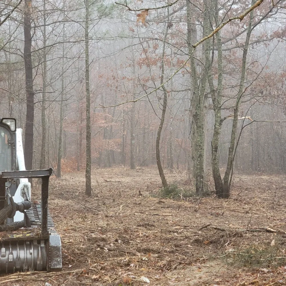 Expert lawn care service in Smithville, TN by Z's Land Management & Mulching