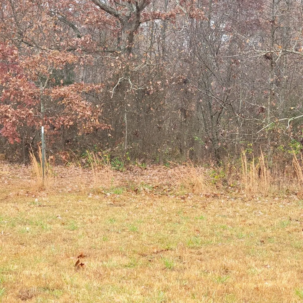 Reliable landscape design experts serving Smithville, TN - Z's Land Management & Mulching