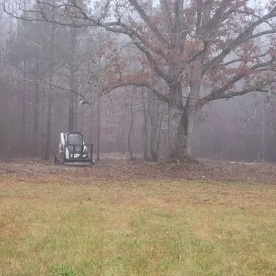 Z's Land Management & Mulching