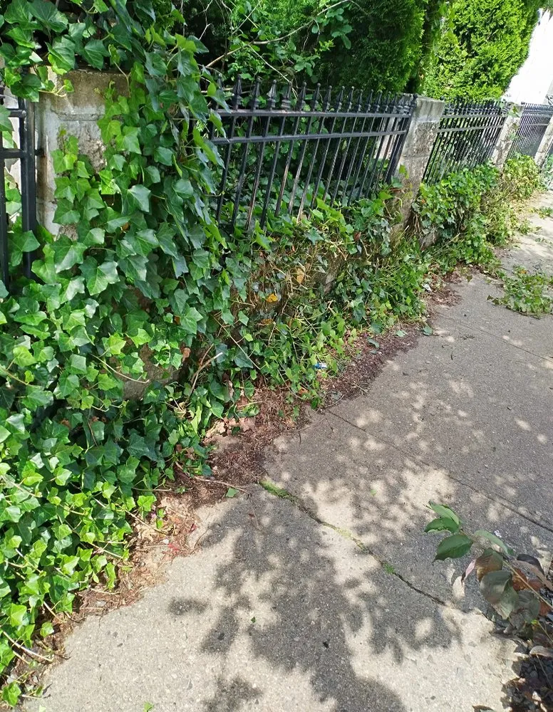 Reliable lawn care service for year-round maintenance across Pawtucket, RI - Z's Landscaping