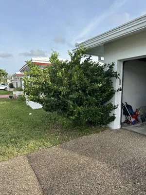 Z's Landscaping Plus