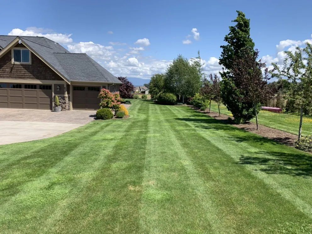 Professional yard cleanup service in Lynden, WA - Z's Lawn Care