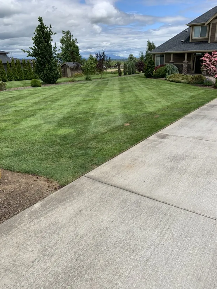 Local lawn mowing service for residential properties across Lynden, WA - Z's Lawn Care