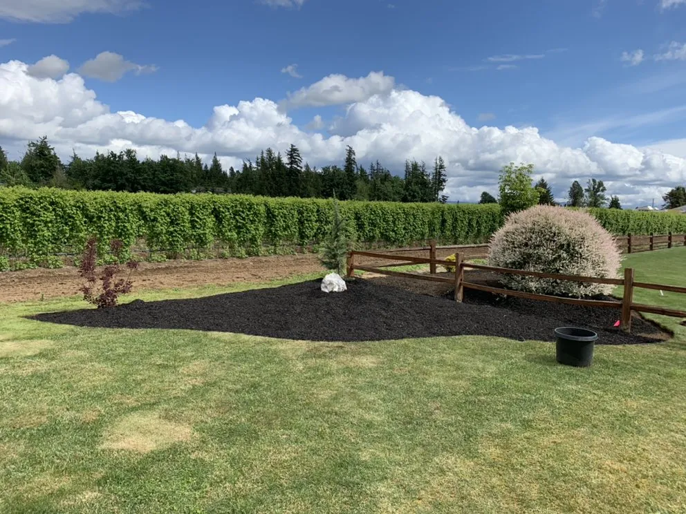 Expert yard cleanup service in Lynden, WA by Z's Lawn Care