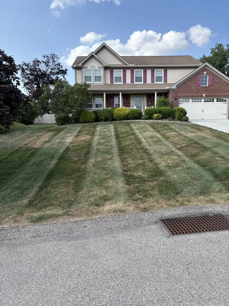 Reliable yard maintenance in Millvale, PA - Z's Lawn Care