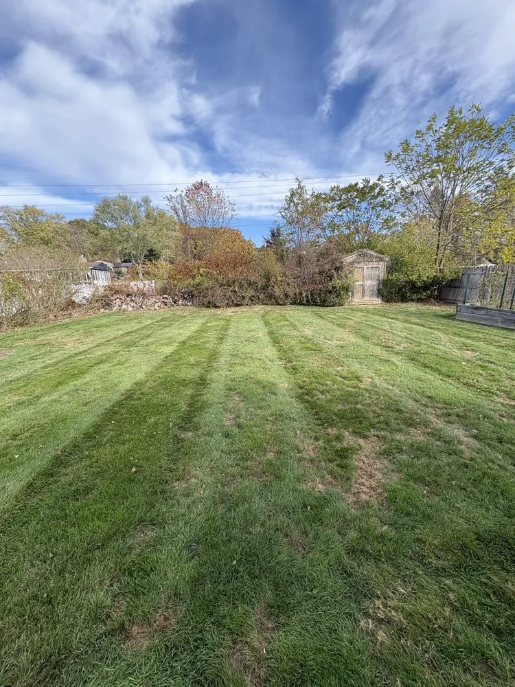 Custom landscaping services in Millvale, PA - Z's Lawn Care