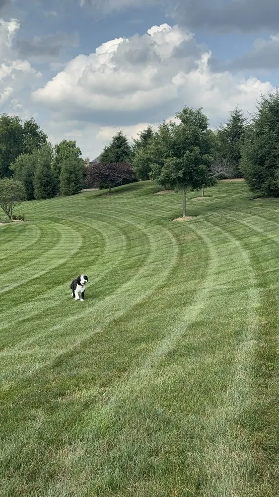 Reliable lawn mowing service for year-round maintenance in Millvale, PA by Z's Lawn Care
