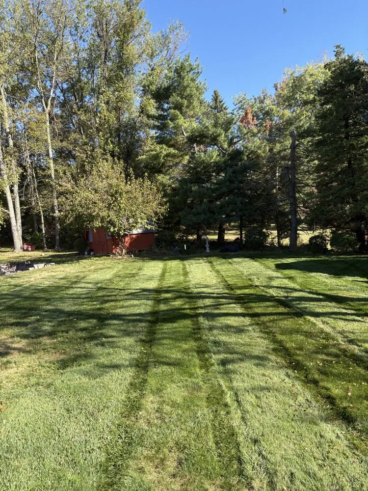 Trusted lawn mowing service near you across Millvale, PA - Z's Lawn Care