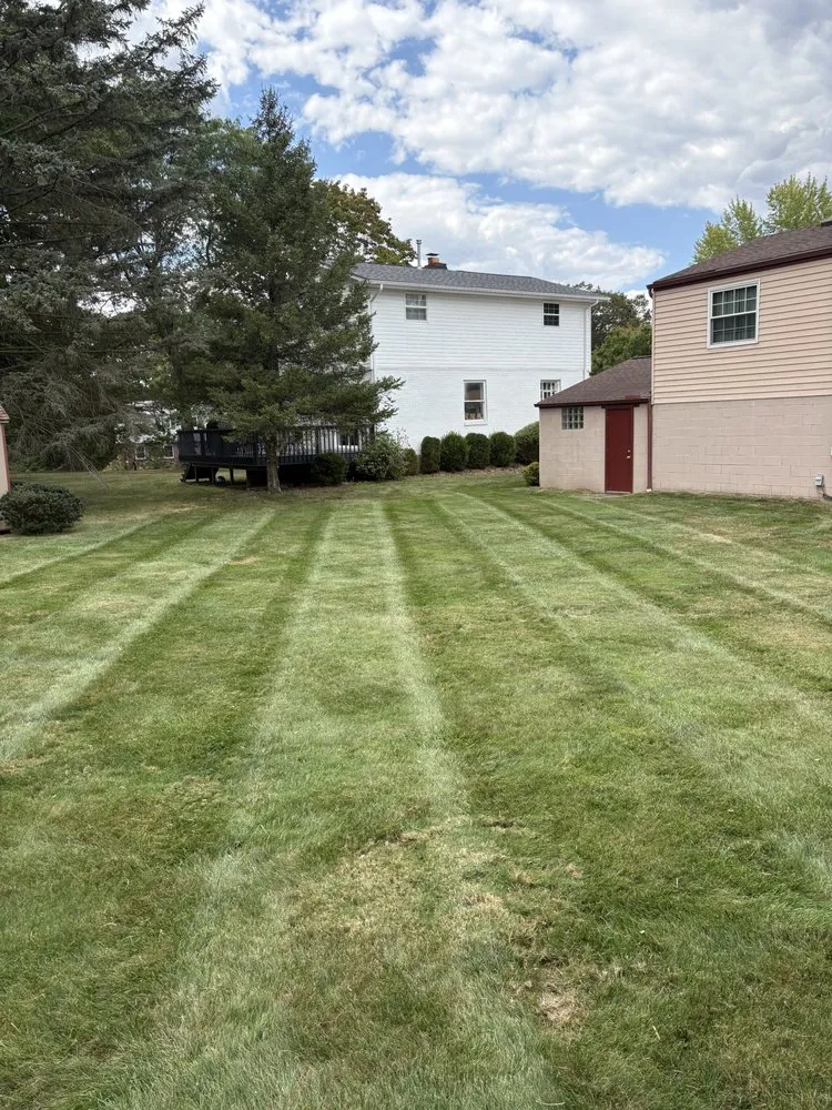 Top-rated yard maintenance for beautiful yards in Millvale, PA by Z's Lawn Care
