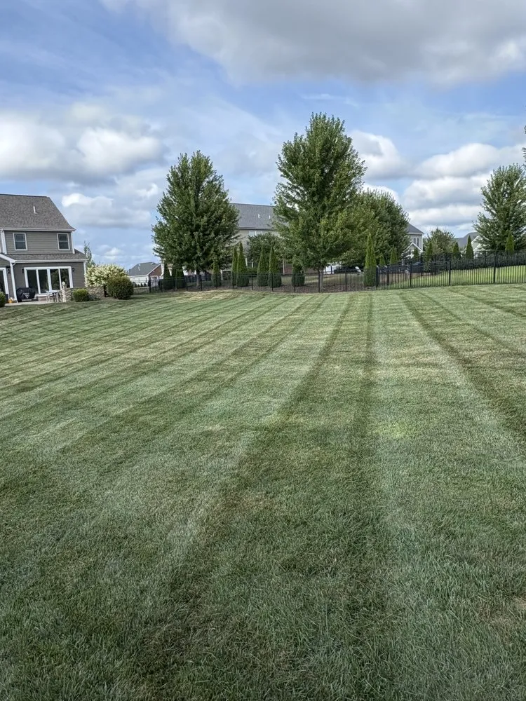 Professional landscape design for homes in Millvale, PA by Z's Lawn Care