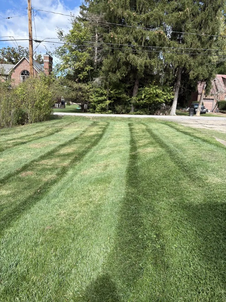Local landscaping services in Millvale, PA by Z's Lawn Care