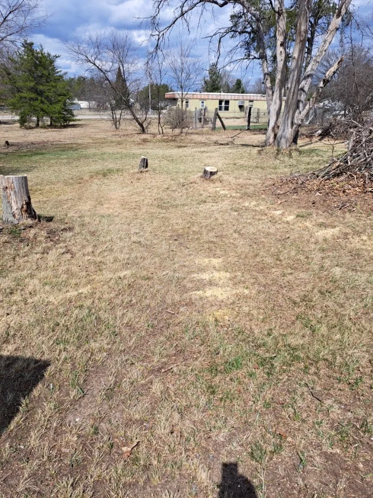 Reliable yard cleanup service for year-round maintenance across Lewiston, MI - Z's Property Care