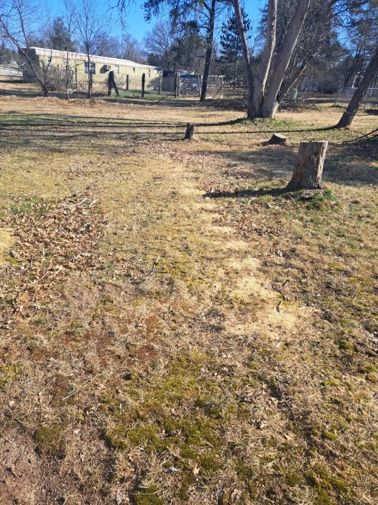 Local garden landscaping in Lewiston, MI by Z's Property Care