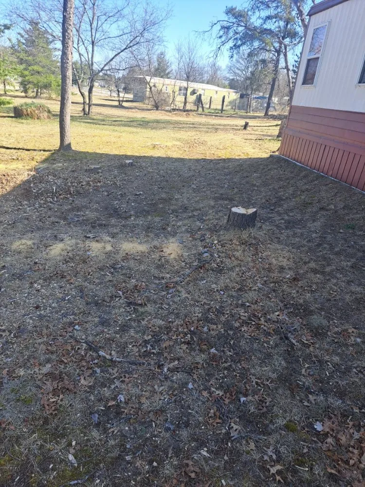 Trusted yard cleanup service for outdoor upgrades in Lewiston, MI by Z's Property Care