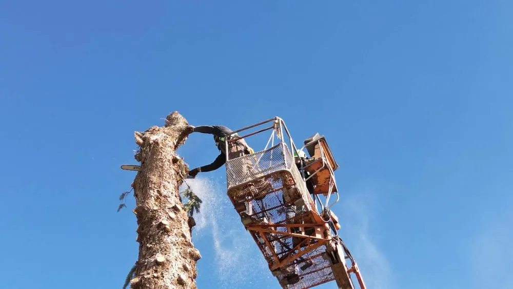 Expert garden landscaping for outdoor upgrades across Monroe, UT - Z's Trees