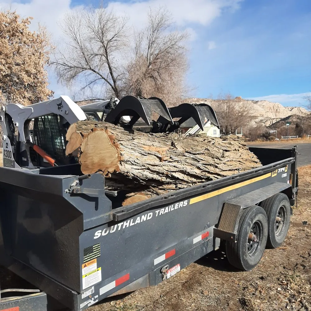 Affordable landscaping services experts serving Monroe, UT - Z's Trees