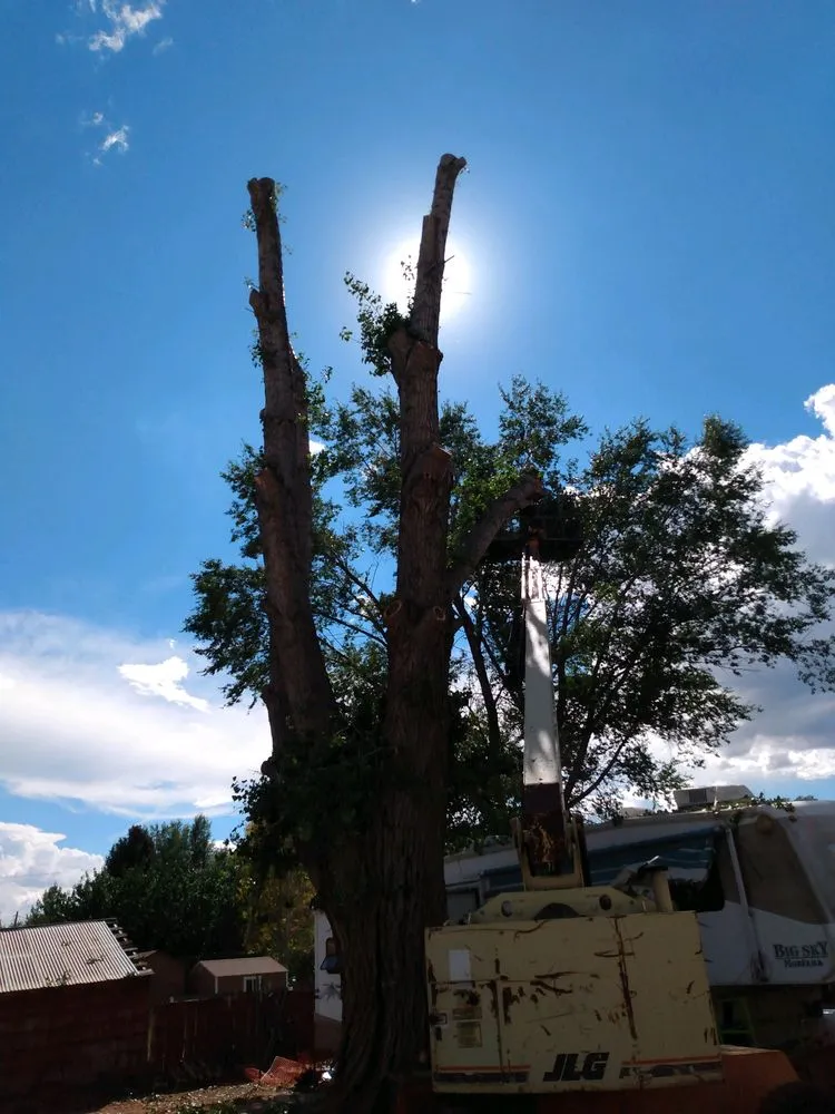 Professional yard maintenance in Monroe, UT by Z's Trees