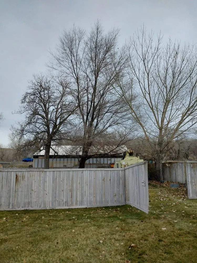 Professional lawn care service with custom design across Monroe, UT - Z's Trees