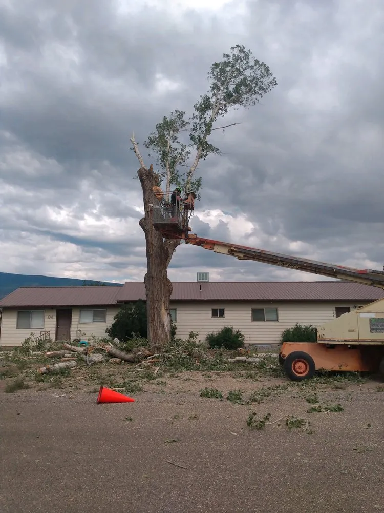 Custom lawn care service in Monroe, UT by Z's Trees