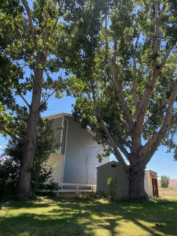 Local residential landscaping in Monroe, UT - Z's Trees