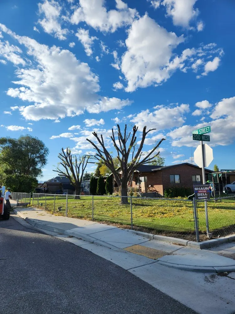 Reliable lawn mowing service for outdoor upgrades across Monroe, UT - Z's Trees